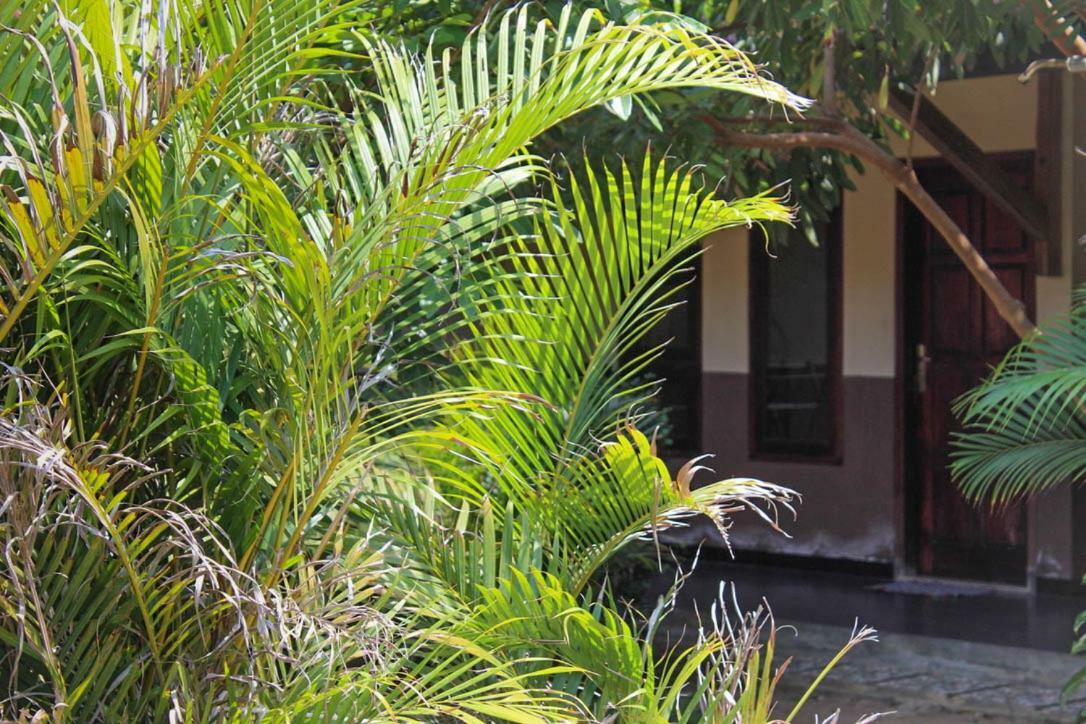Harrys Oceanhouse 2 Pacitan Daire Dış mekan fotoğraf